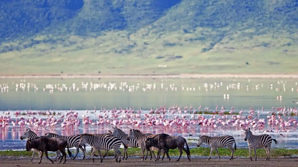Tanzania'S Natural