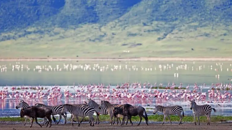 Ngorongoro Conservation Area