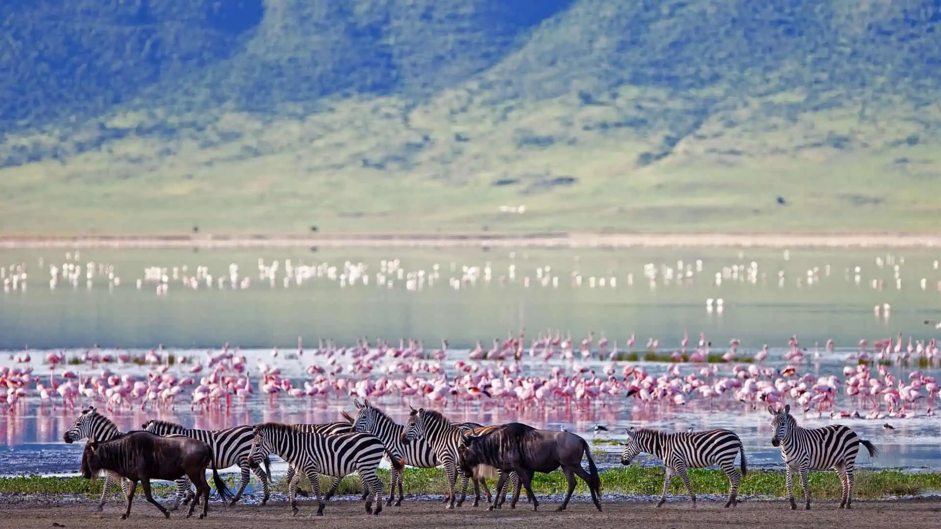 Tanzania'S Natural