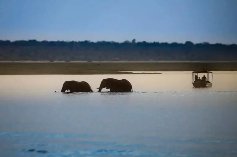 Saadani National Park