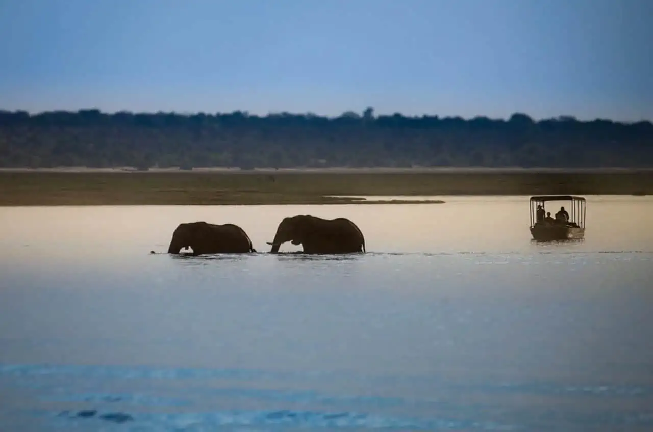 Saadani National Park 3 1160X676 1