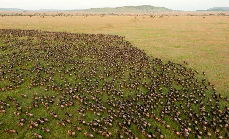Serengeti National Park