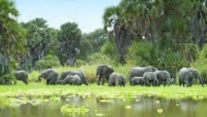 Discover Tanzania