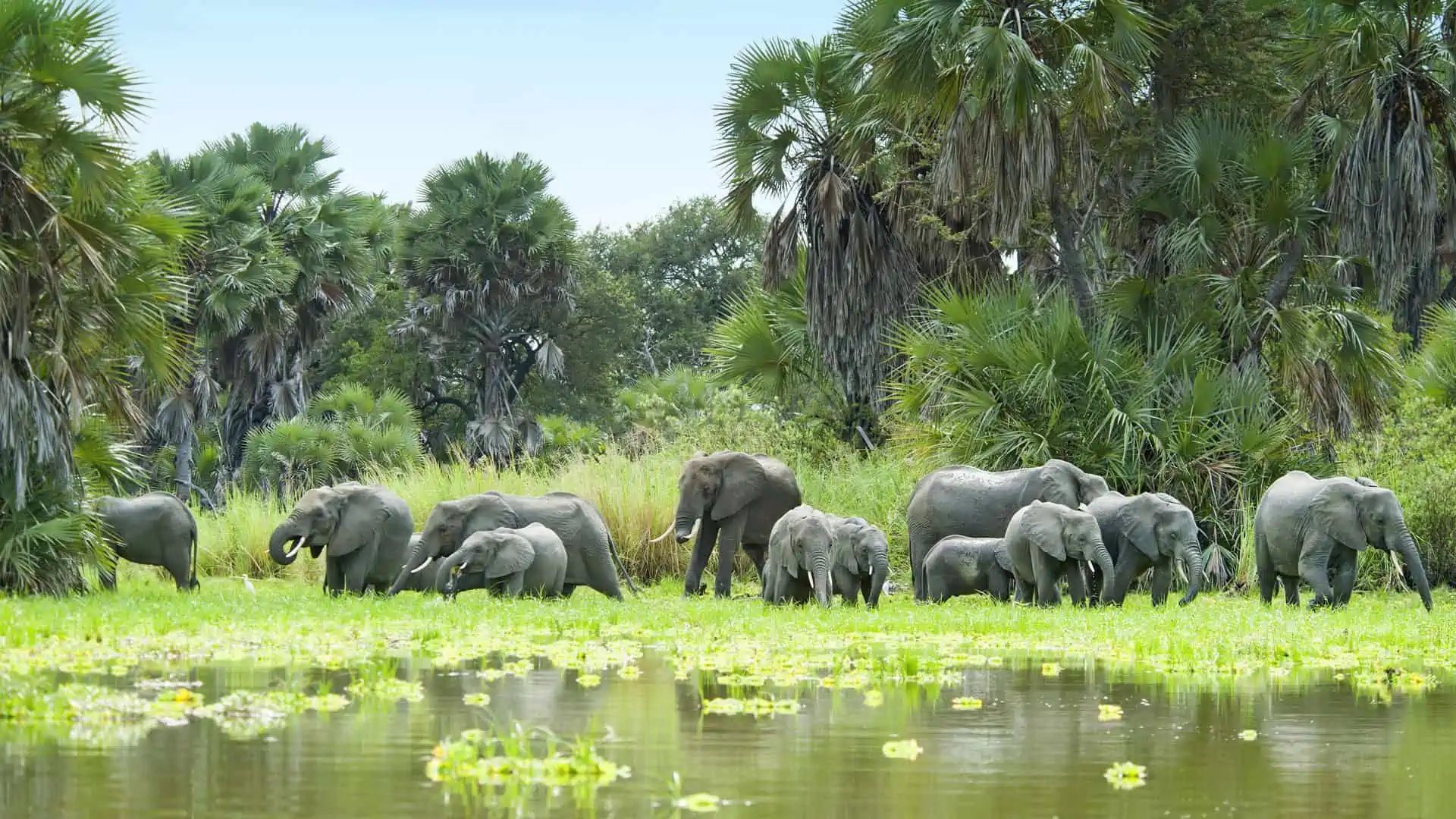 Discover Tanzania