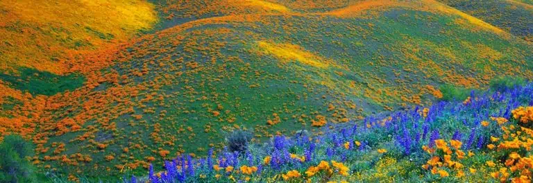 Kitulo National Park
