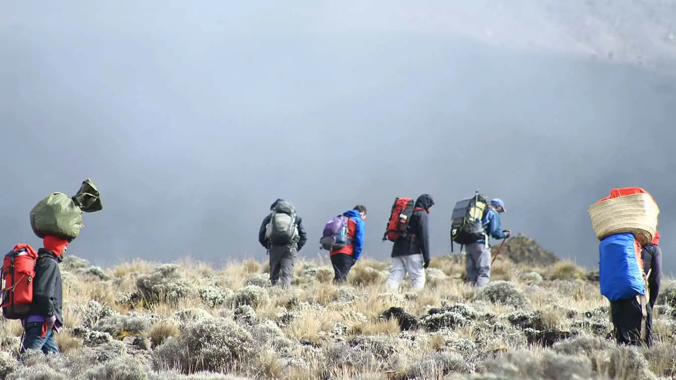 7 Days Rongai Route Climb