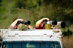 On a photographic safari...