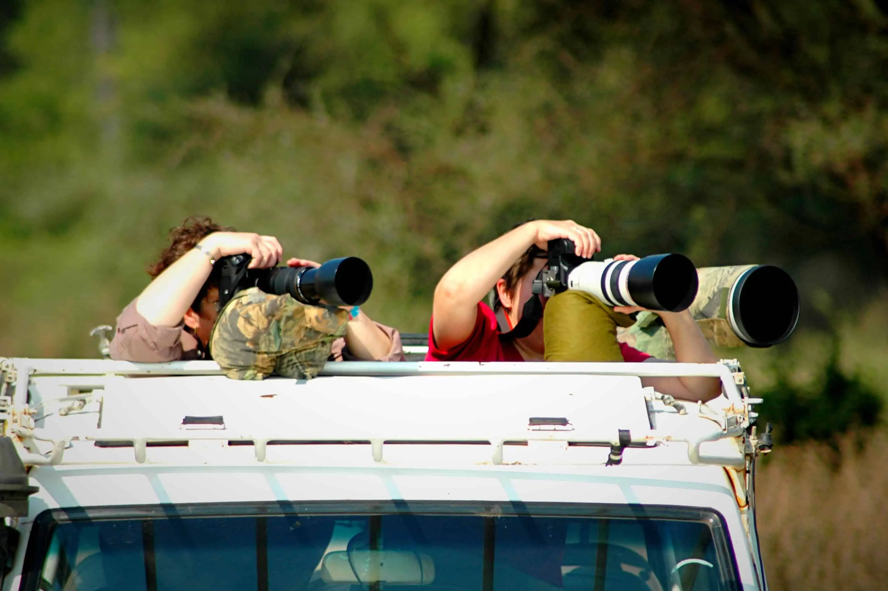 On A Photographic Safari...
